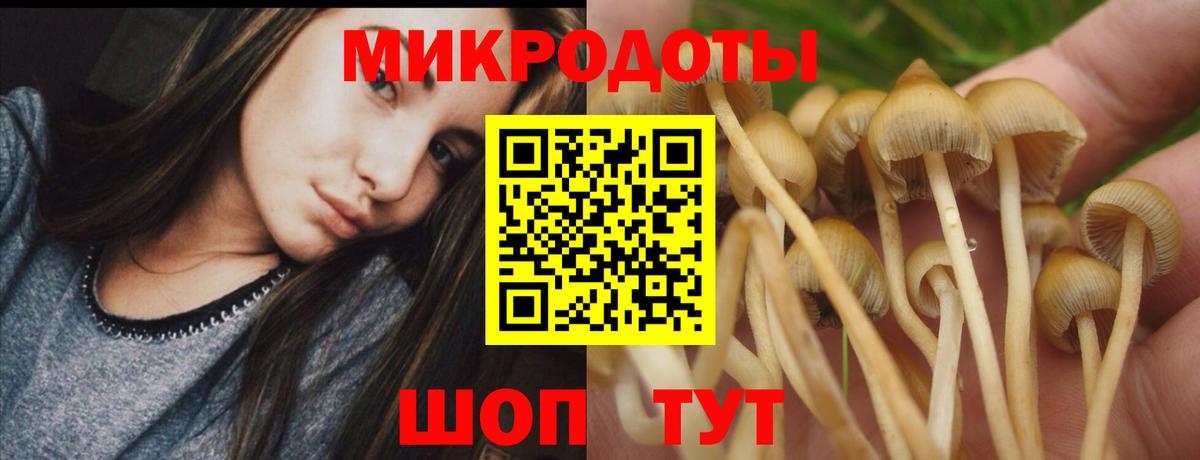 Галлюциногенные грибы мухоморы  Вход с VPN  продажа наркотиков  Псилоцибиновые грибы MAGIC MUSHROOMS  Бирск 